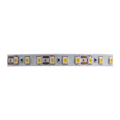 Fita De Led Taschibra Com 5 Metros 120 Leds/m 10w 12v 6500k Luz Branca 14040243-16