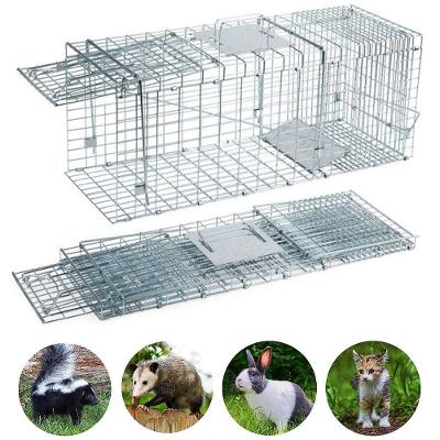 Armadilha Gaiola Gatoeira Lorben Grande Captura Resgate Animais Gatos Gambás Lagartos Gt6274