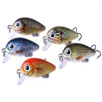 Kit Com 5 Mini Iscas De Pesca Artificiais Crankbait Meia água Material Acessório Pescaria - 1