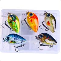 Kit Com 5 Mini Iscas De Pesca Artificiais Crankbait Meia água Material Acessório Pescaria - 6