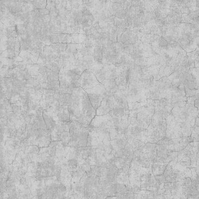 Papel De Parede Colorkey Moderno Cinza Col1044