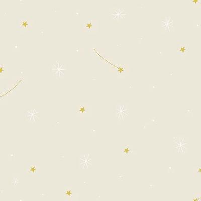 Papel De Parede Pure Kids Teens Stars Kt68467 Tam. 4m²