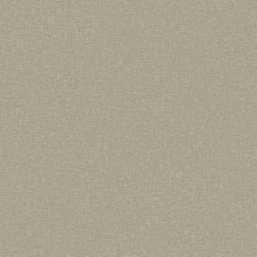 Papel De Parede Bobinex Essencial Textura Marrom 4307 - 1