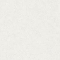 Papel De Parede Imagine Shiny 31753 Rolo 10m X 0,53m - 1