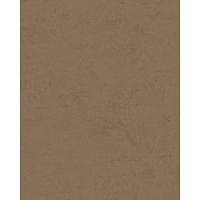Papel De Parede Imagine Plain 77713 Rolo 10m X 0,53m - 1