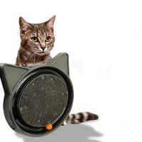 Arranhador Para Gatos Com Bolinha Interativa Antistress - Preto - 1