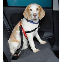 Cinto De Segurança Pet Cao Cachorro Coleira Guia Animal De Estimaçao Carro Veiculo Viagem Passeio Pet Shop Transporte Seguro Resistente - 3