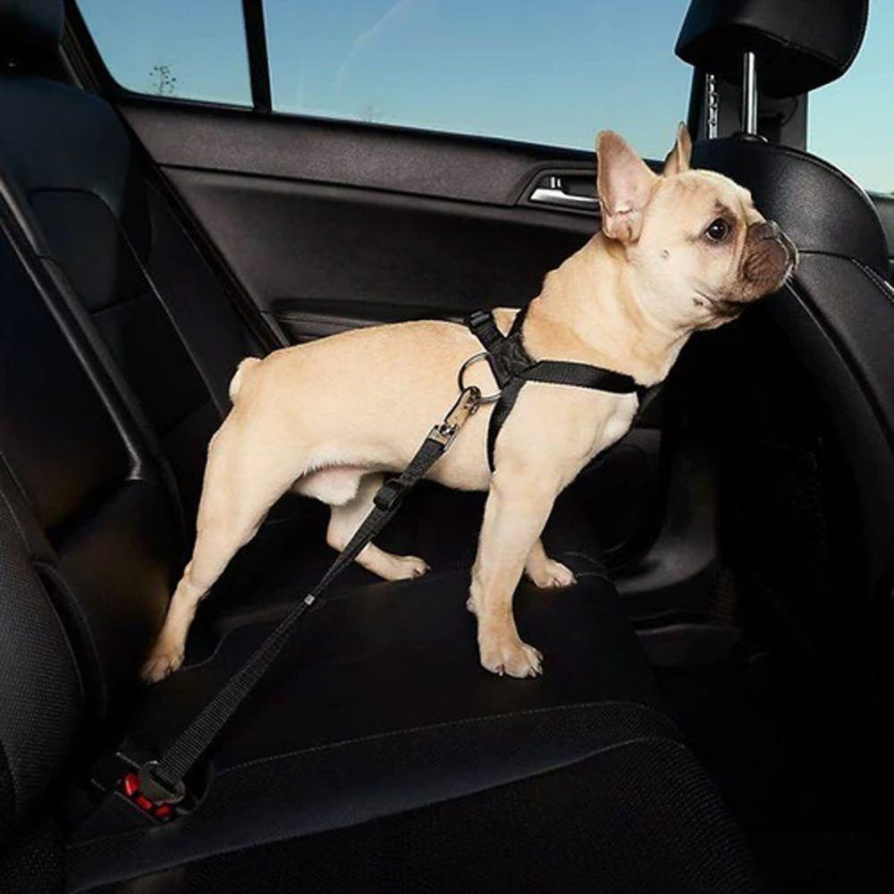 Cinto De Segurança Cachorro Pet Cao Guia Animal De Estimaçao Veiculo Carro Passeio Viagem Transporte Pet Shop Resistente - 5