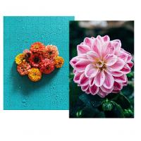 Super Jogo Da Memória Cognitivo Lindas Flores 12 Pares Mdf - 7