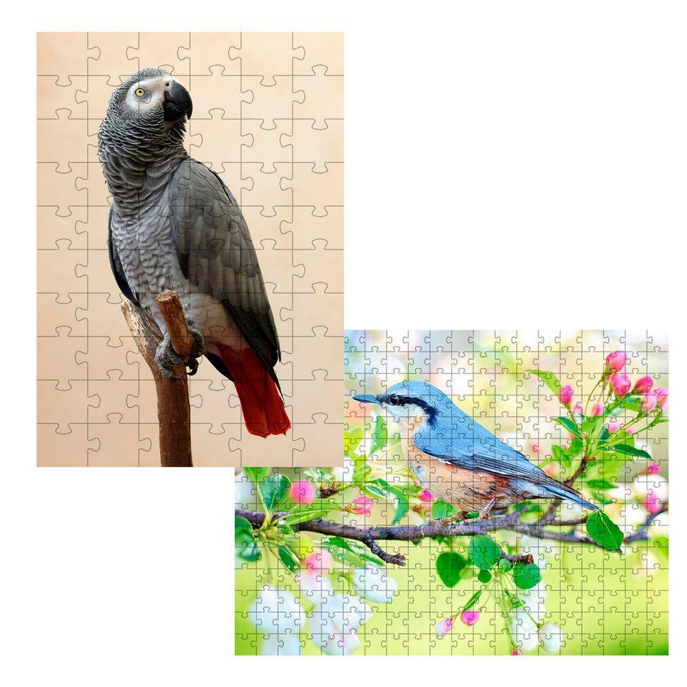 2 Quebra-cabeças Inclusivos 40 Peças Aves Belas Para Mentes Inteligentes - 1