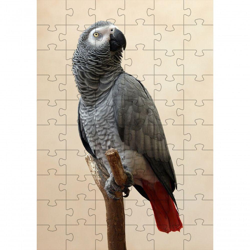 2 Quebra-cabeças Inclusivos 40 Peças Aves Belas Para Mentes Inteligentes - 3