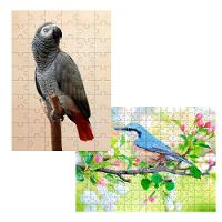 2 Quebra-cabeças Inclusivos 40 Peças Aves Belas Para Mentes Inteligentes - 1