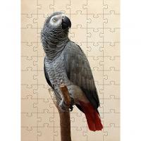 2 Quebra-cabeças Inclusivos 40 Peças Aves Belas Para Mentes Inteligentes - 3