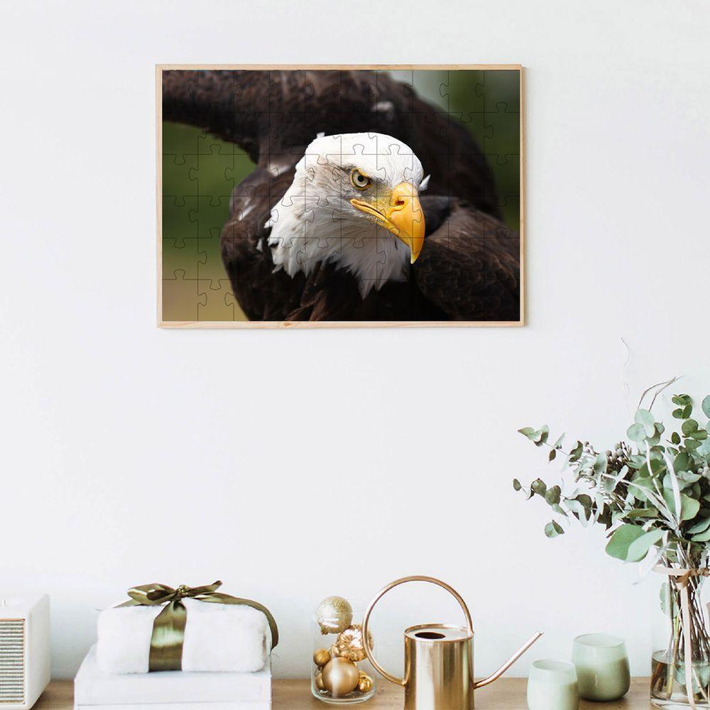 Kit 2 Quebra-cabeça Inclusivos Beleza De Pássaros Em 60 Peças - 2