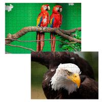 Kit 2 Quebra-cabeça Inclusivos Beleza De Pássaros Em 60 Peças - 1