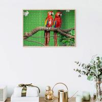 Kit 2 Quebra-cabeça Inclusivos Beleza De Pássaros Em 60 Peças - 3