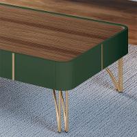 Mesa De Centro Decorativa Rennes Mdp/mdf Pés De Aço Verde Pistache/castanho G26 Gran Belo - 6