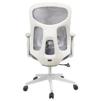 Cadeira Escritório Nr-17 Everest Diretor C- Braços Fratini Encosto Tela Mesh Gelo-cinza Base Rodízio