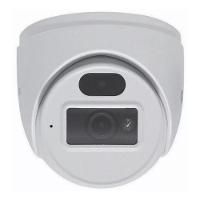 Câmera Motorola Dome Ip De Metal-plástico De 2 Mp - Mtidm022603