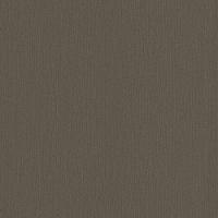 Papel De Parede New Textures Textura Marrom Nt32518 - 1