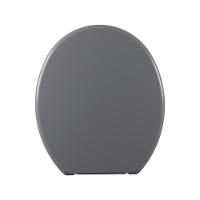 Assento Sanitário Plástico Astra Tpj-as Anatômico Cinza