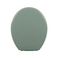 Assento Sanitário Plástico Astra Tpk-as Almofadado Verde