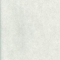 Papel De Parede Pure 2 Texturado 187704 - Rolo 10m X 0,53m - 1