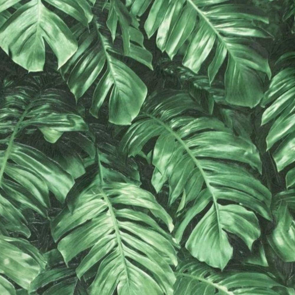 Papel De Parede Santorini Folhagem Verde Sn11 - 2