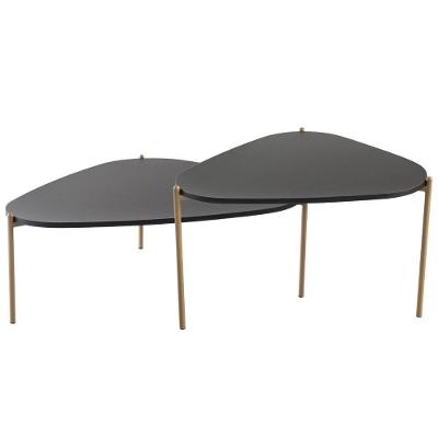 Kit 02 Mesas De Centro Para Sala De Estar Pés Metálicos Adek A03 Nero Dourado - Lyam Decor