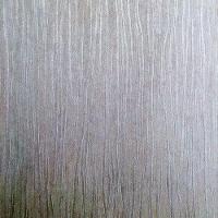 Papel De Parede Texture World H2990301 - Rolo 10m X 0,53m - 1