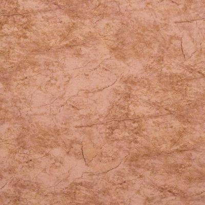Papel De Parede Modern Rustic 121006 Vinílico - Rolo 10m X 0,52m