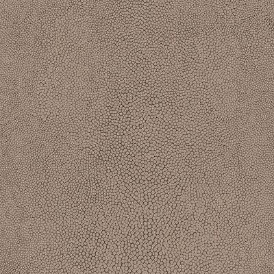 Papel De Parede Natural Fx Lizard Skin G67467 - Rolo: 10m X 0,53m