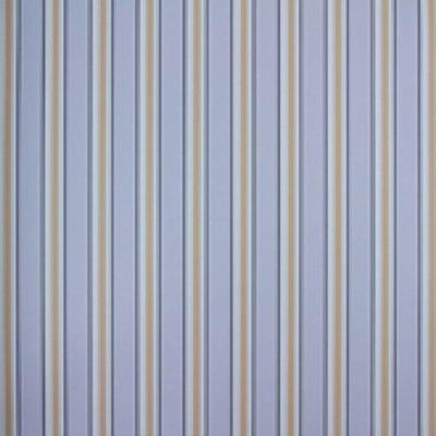 Papel De Parede Listrado Classic Stripes Ct889054 Vinílico - Rolo 10m X 0,53m