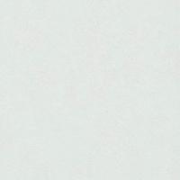 Papel De Parede Ddd 28381 Cor Única Texturado - Rolo 10m X 0,53m - 1