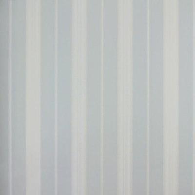 Papel De Parede Listrado Classic Stripes Ct889015 Vinílico - Rolo 10m X 0,53m