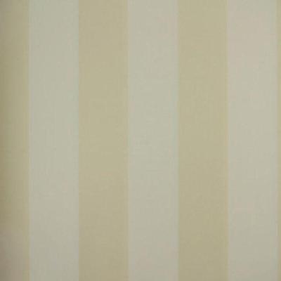 Papel De Parede Listrado Classic Stripes Ct889009 Vinílico - Rolo 10m X 0,53m