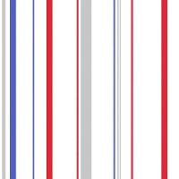 Papel De Parede Play Listrado 96614 - Rolo 10m X 0,53m - 1