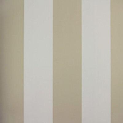 Papel De Parede Listrado Classic Stripes Ct889061 Vinílico - Rolo 10m X 0,53m