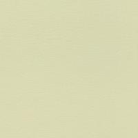 Papel De Parede Bambino Xviii Cor única 531435 Rolo 10m X 0,53m - 1