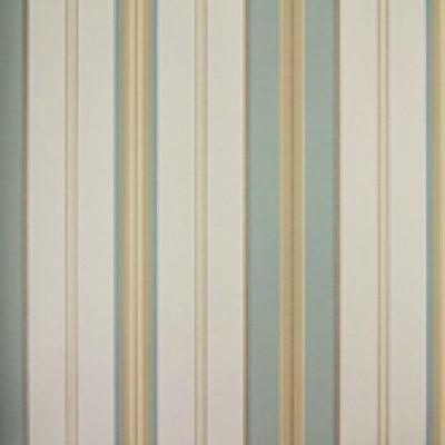 Papel De Parede Listrado Classic Stripes Ct889062 Vinílico - Rolo 10m X 0,53m
