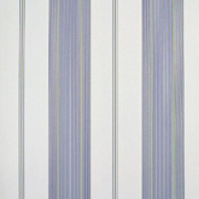Papel De Parede Listrado Classic Stripes Ct889038 Vinílico - Rolo 10m X 0,53m