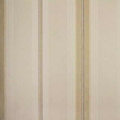 Papel De Parede Listrado Classic Stripes Ct889096 Vinílico - Rolo 10m X 0,53m