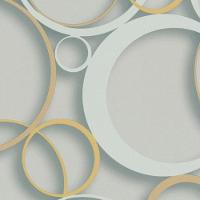 Papel De Parede Ddd Em 3d Max 28302 Círculos - Rolo 10m X 0,53m - 1