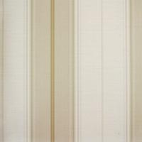 Papel De Parede Listrado Classic Stripes Ct889104 Vinílico - Rolo 10m X 0,53m - 1