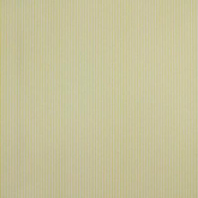 Papel De Parede Listrado Classic Stripes Ct889028 Vinílico - Rolo 10m X 0,53m