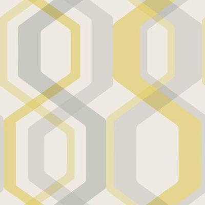 Papel De Parede The Young Ones Ym2323 Belga Rolo 10m X 0,53m