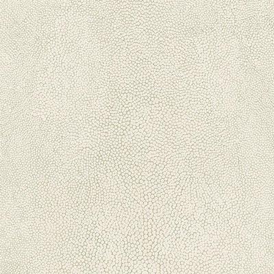 Papel De Parede Natural Fx Lizard Skin G67468 - Rolo: 10m X 0,53m