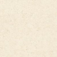 Papel De Parede Concrete Concreto Bege 520835-c - 1