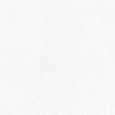 Papel De Parede Natural Fx Lizard Skin G67470 - Rolo: 10m X 0,53m