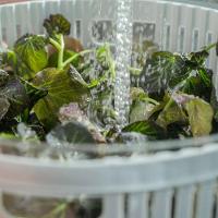 Secador De Saladas 5,5 L Clear Fresh Ou - 2